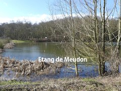 2018-03-11-meudon (32)